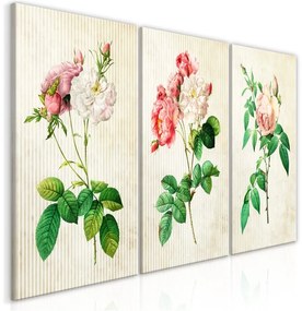 Quadro  Floral Trio (Collection)  Colore colorful, Dimensioni e Misure 120x60