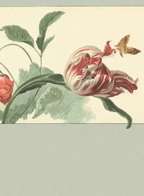 Eijffinger Carta da parati Tulip and Poppy - Mehrfarbig Grün