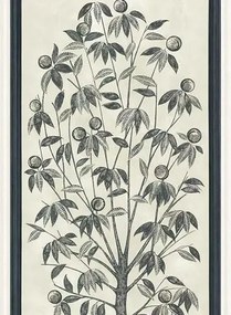 Cole & Son Carta da parati Trees of Eden - Lide