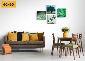 Set di quadri – Natura piena di verde
