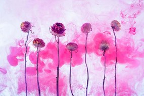 Carta da parati autoadesiva – Fiori con vapore rosa