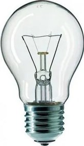 Lampadina industriale trasparente E27/100W/240V