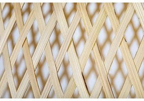 Rabalux 72025 - Lampadario a sospensione con filo RATTAN 1xE27/25W/230V rattan