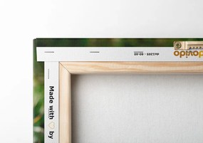 Quadro su tela – Angioletto nel giardino