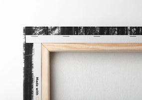 Quadro su tela – Mattina nella foresta in bianco e nero