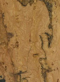 Osborne & Little Carta da parati Kanoko Cork - Woodsmoke