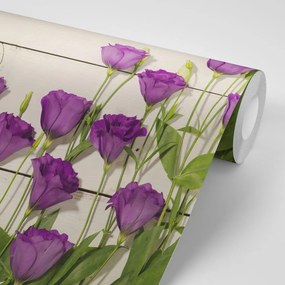 Carta da parati – Splendidi fiori viola
