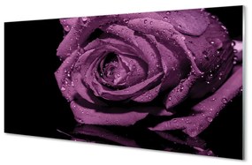 Quadro vetro acrilico Rosa viola 100x50 cm
