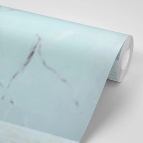 Carta da parati – Ramo nel vaso