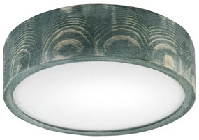 Brilagi - Lampada da soffitto PINO 1xE27/15W/230V pino/verde diam. 27,5 cm