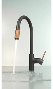 Deante BCA_B64M - Miscelatore per lavello ASTER nero/ottone