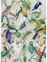 Mindthegap Carta da parati Tropical Birds - WP20172