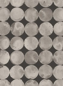 Coordonne Tapete Luna Craters - Dune