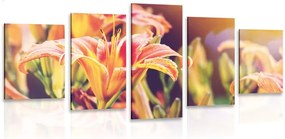 Quadri 5 pezzi – Bellissimi fiori in giardino