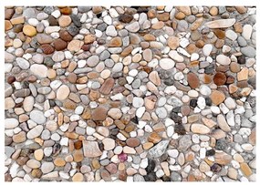 Fotomurale  Stone Beach  Colore Marrone, Dimensioni e Misure 350x245