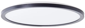 Brilliant - Lampada da soffitto a LED MILTON LED/18W/230V Ø 29,3 cm nera