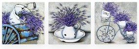Dipinti in set di 3 pezzi 30x30 cm Lavender - Wallity