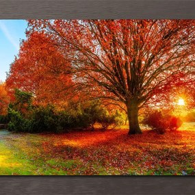 Stampa incorniciata su tela Autumn multicolore 136 x 76 cm