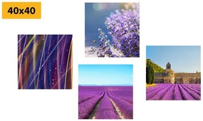 Set di quadri – Campo di lavanda con astrazione