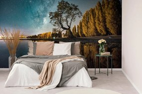 Fotomurale – Albero sotto il cielo stellato