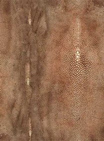 Jean Paul Gaultier Carta da parati Precieux - Cuivre
