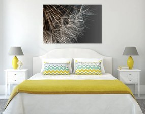 Quadro su tela – Bellezza del soffione
