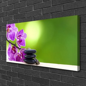 Quadro stampa su tela Fiori di orchidee verdi 100x50 cm