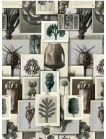 Mindthegap Carta da parati Blossfeldts Art Forms - WP20595