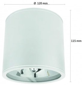 Applique da soffitto IP65 - Bianca Colore del corpo Bianco