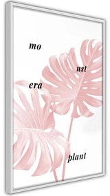 Poster Pale Pink Monstera