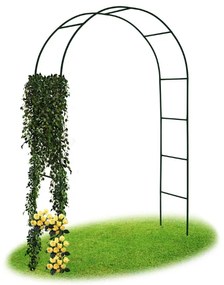 Arco a pergola per piante rampicanti 140 x 38 x 240 cm