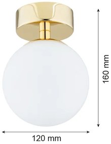 Argon 4004 - Plafoniera FLAVIO 1xE14/7W/230V