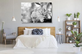 Stampa su tela – Fiore di giglio su sfondo astratto in bianco e nero