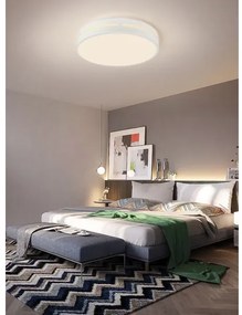 Immax NEO 07153-W40 - Luce LED dimmerabile PERFECTO 24W/230V Wi-Fi Tuya + TC