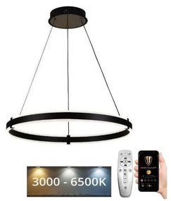 Brilagi - Lampadario a sospensione con filo LED dimmerabile CIRCLE LED/85W/230V 3000-6500K nero + +TC