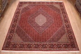 Bidjar Tappeto 350x300 (Iran) Annodato A Mano