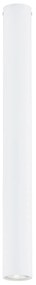 Plafoniera Moderna Faretto Marduk 1 Luce Acciaio Bianco 60 Cm