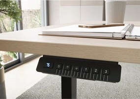 Scrivania con effetto rovere con altezza regolabile elettricamente 80x160 cm – Germania