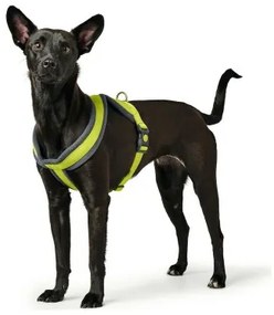 Imbracatura per Cani Hunter London Comfort XS-S 39-47 cm Lime