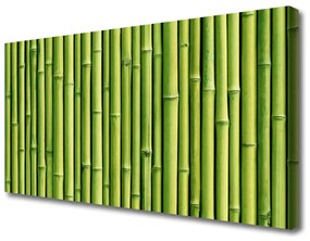 Foto quadro su tela Bambù Pianta Natura 100x50 cm