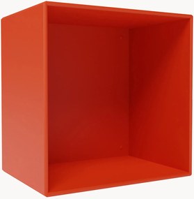 Modulo Mini 1001