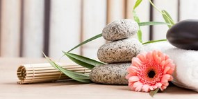 Stampa su tela – Natura morta meditativa e benessere