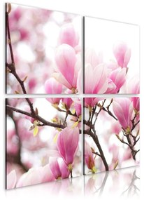 Quadro Cespuglio di magnolie in fiore