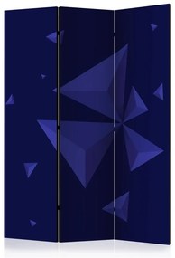 Paravento  Meteor shower [Room Dividers]  Colore Viola, Dimensioni e Misure 135x172