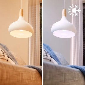 Confezione da 3 lampadine LED RGB dimmerabili Philips SMART A60 E27/8,8W/230V 2200-6500K