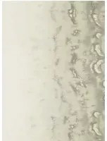 Clarke & Clarke Carta da parati Disperse - Pearl