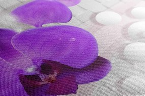 Quadro su tela – Orchidea su sfondo astratto