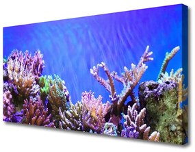 Quadro stampa su tela Natura della barriera corallina 100x50 cm