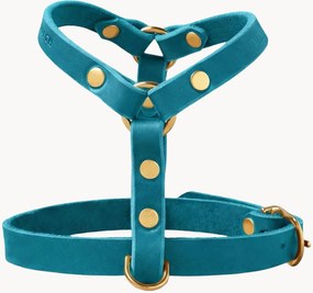 Imbracatura per cani in pelle Y-Harness, varie misure