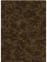 Moooi for Arte Carta da parati Bearded Leopard - MO2053 Blackened Gold